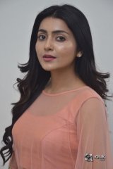 Avantika Mishra At Vaishakham Movie Success meet